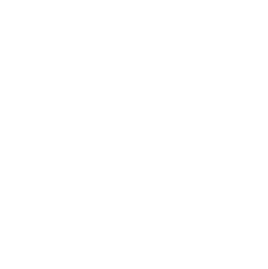 Evidence-based + Holistic